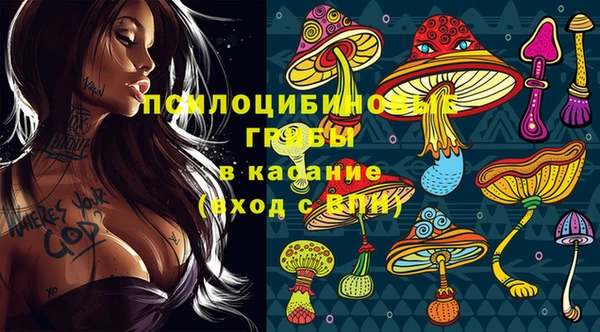 спиды Арсеньев