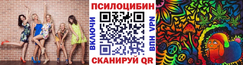 Купить где  Губкинский  Псилоцибиновые грибы ЛСД 