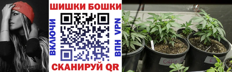 Бошки Шишки LSD WEED  Купить закладки  Губкинский 